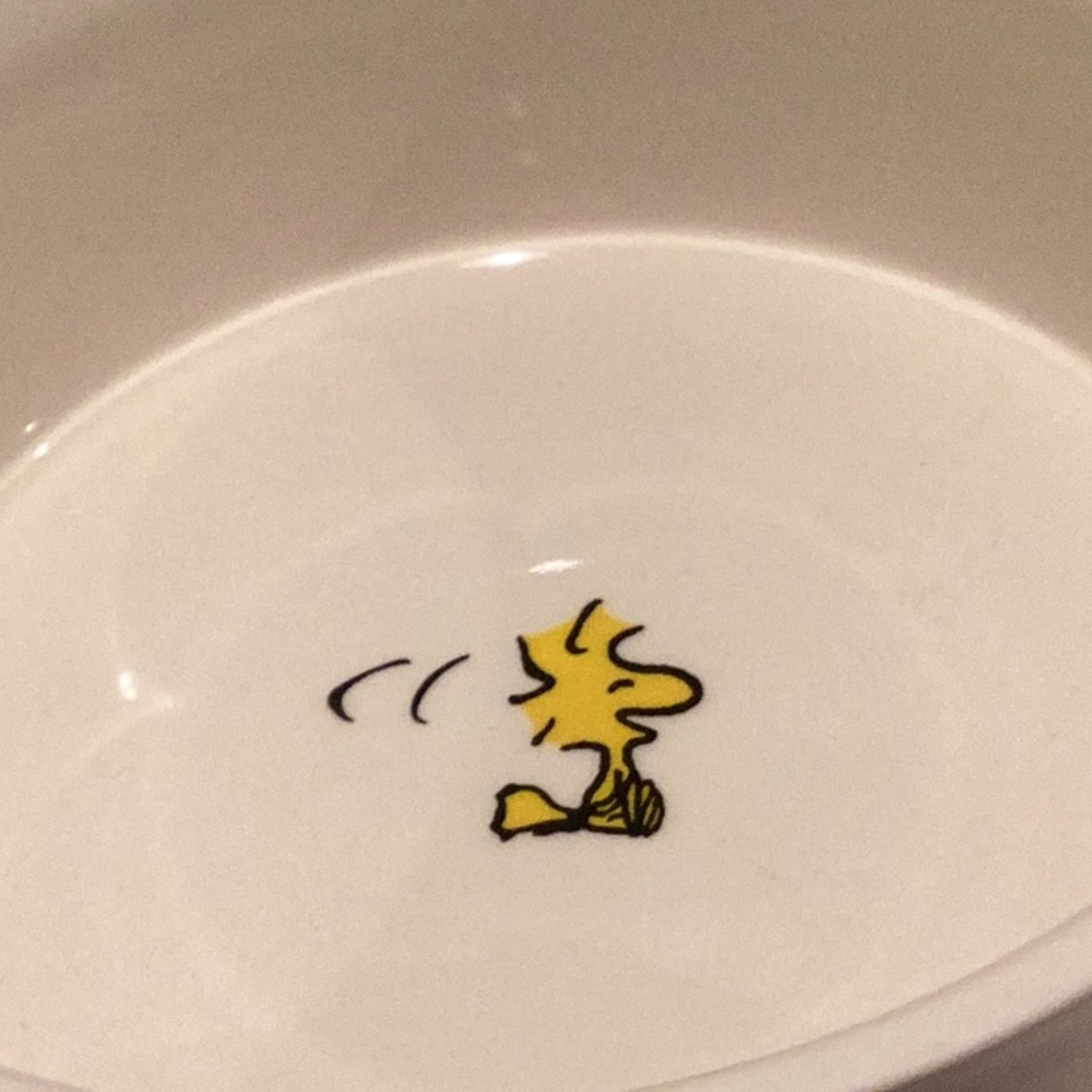 Peanuts Pet Bowl - Picture 7 of 9